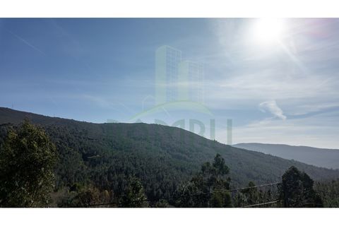 Villa a Viana do Castelo, Viana do Castelo, Viana do Castelo - € 320.000 | Ref: B3262 - foto 11