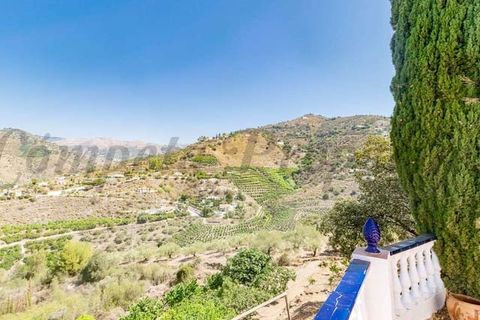 Finca i Torrox, Malaga, Torrox - € 650.000 | Ref: TCP254 - foto 16