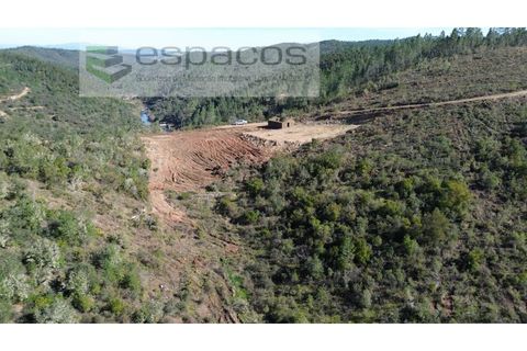 Helårsgrund i Castelo Branco, Castelo Branco, Castelo Branco - € 55.000 | Ref: 5767/EG - foto 3