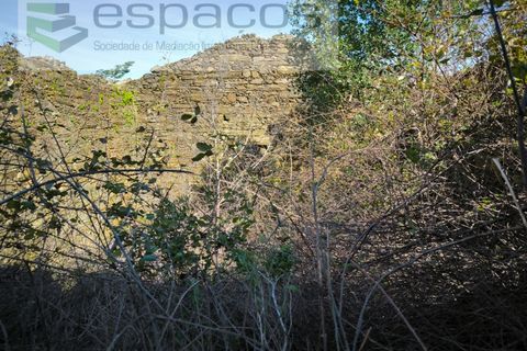 Helårsgrund i Castelo Branco, Castelo Branco, Castelo Branco - € 55.000 | Ref: 5767/EG - foto 4