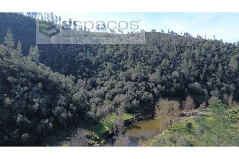 Helårsgrund i Castelo Branco, Castelo Branco, Castelo Branco - € 55.000 | Ref: 5767/EG - foto 5