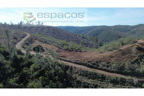 Helårsgrund i Castelo Branco, Castelo Branco, Castelo Branco - € 55.000 | Ref: 5767/EG - foto 6