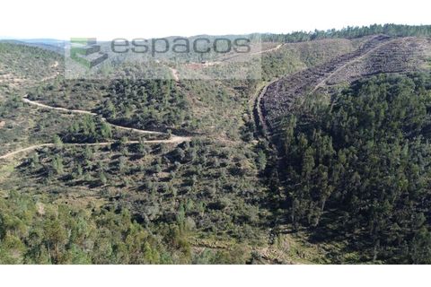Helårsgrund i Castelo Branco, Castelo Branco, Castelo Branco - € 55.000 | Ref: 5767/EG - foto 8