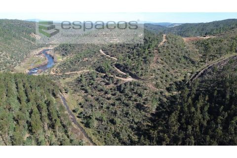 Helårsgrund i Castelo Branco, Castelo Branco, Castelo Branco - € 55.000 | Ref: 5767/EG - foto 9