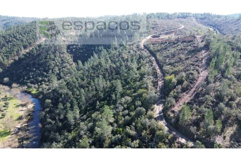 Helårsgrund i Castelo Branco, Castelo Branco, Castelo Branco - € 55.000 | Ref: 5767/EG - foto 10