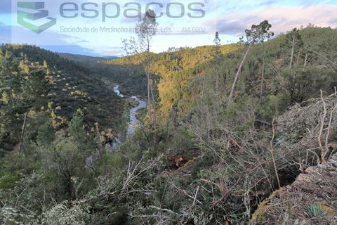 Helårsgrund i Castelo Branco, Castelo Branco, Castelo Branco - € 55.000 | Ref: 5767/EG - foto 11
