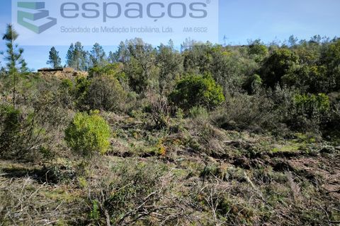 Helårsgrund i Castelo Branco, Castelo Branco, Castelo Branco - € 55.000 | Ref: 5767/EG - foto 13