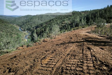 Helårsgrund i Castelo Branco, Castelo Branco, Castelo Branco - € 55.000 | Ref: 5767/EG - foto 14