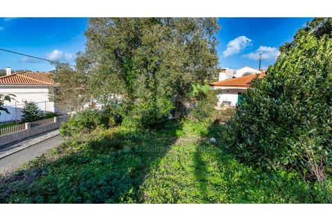 Helårsgrund i Mafra, Lisbon, Mafra - € 175.000 | Ref: V26048 - foto 6