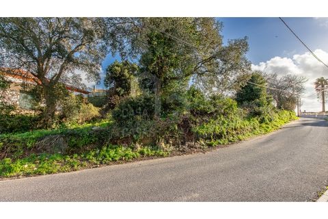 Helårsgrund i Mafra, Lisbon, Mafra - € 175.000 | Ref: V26048 - foto 2