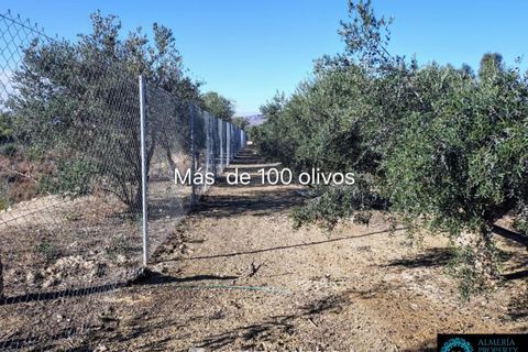 Villa i Turre, Almeria, Turre - € 399.000 | Ref: ME 3185 - foto 2