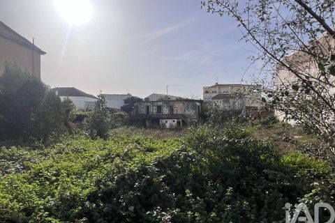 Terra a Bombarral, Leiria, Bombarral - € 220.000 | Ref: 797694 - foto 3