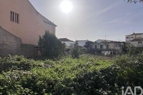 Terra a Bombarral, Leiria, Bombarral - € 220.000 | Ref: 797694 - foto 6