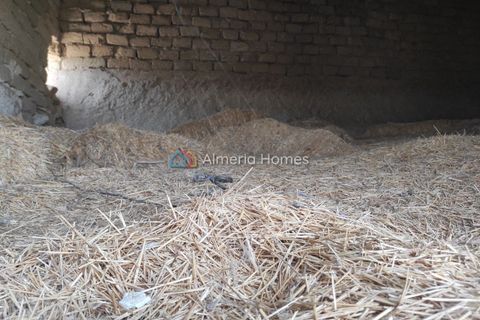Landejendom i Caniles, Granada, Caniles - € 69.000 | Ref: IX-14503 - foto 13