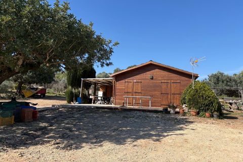 Villa i Montserrat, Valencia, Montserrat - € 145.000 | Ref: 8351 - foto 2