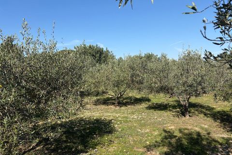 Villa i Montserrat, Valencia, Montserrat - € 145.000 | Ref: 8351 - foto 11