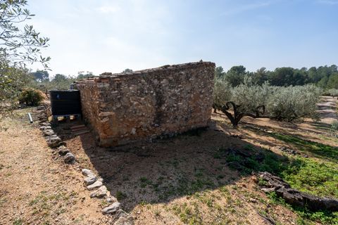 Finca i Camarles, Tarragona, Camarles - € 63.000 | Ref: 331 - foto 8