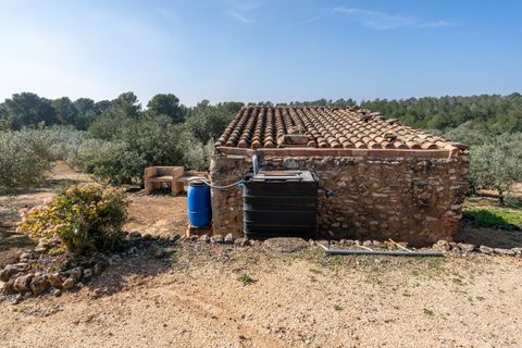 Finca i Camarles, Tarragona, Camarles - € 63.000 | Ref: 331 - foto 7