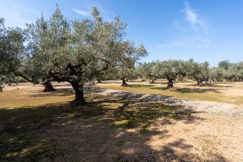 Finca i Camarles, Tarragona, Camarles - € 63.000 | Ref: 331 - foto 14