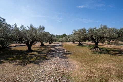 Finca i Camarles, Tarragona, Camarles - € 63.000 | Ref: 331 - foto 13