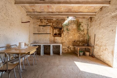 Finca i Camarles, Tarragona, Camarles - € 63.000 | Ref: 331 - foto 12