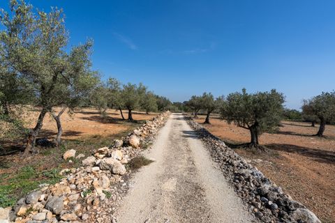 Finca i Camarles, Tarragona, Camarles - € 63.000 | Ref: 331 - foto 20