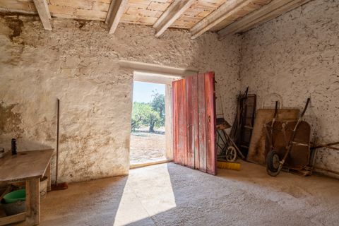 Finca i Camarles, Tarragona, Camarles - € 63.000 | Ref: 331 - foto 9