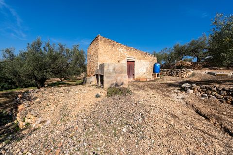 Finca i Camarles, Tarragona, Camarles - € 63.000 | Ref: 331 - foto 6
