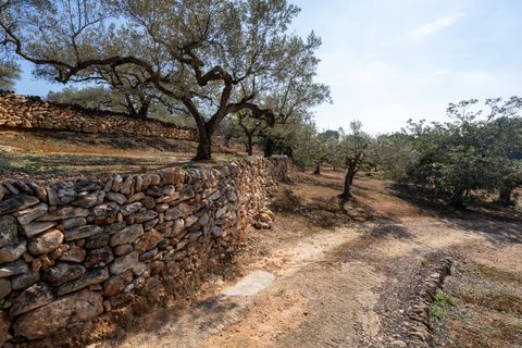 Finca i Camarles, Tarragona, Camarles - € 63.000 | Ref: 331 - foto 17