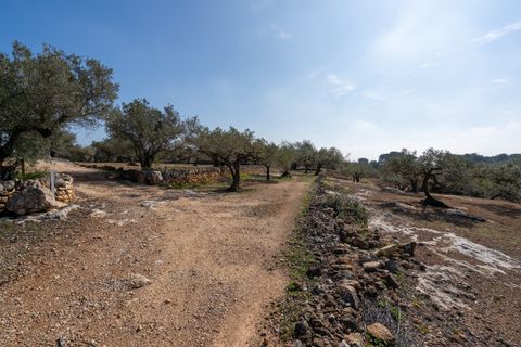 Finca i Camarles, Tarragona, Camarles - € 63.000 | Ref: 331 - foto 19