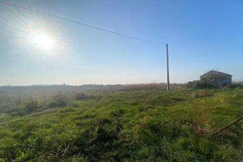 Villa a Cervia, Ravenna, Cervia - € 80.000 | Ref: VE 332 - foto 3