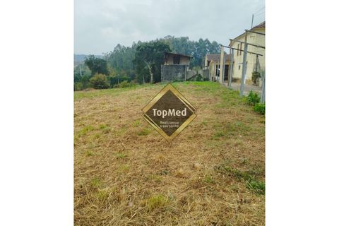 Helårsgrund i Argoncilhe, Aveiro, Argoncilhe - € 175.000 | Ref: TP141 - foto 13