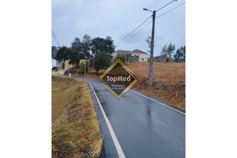 Helårsgrund i Argoncilhe, Aveiro, Argoncilhe - € 175.000 | Ref: TP141 - foto 17
