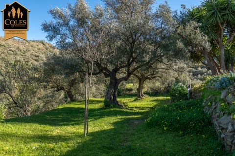 Træhytte i Lubrin, Almeria, Lubrin - € 245.000 | Ref: LUB3V02 - foto 16
