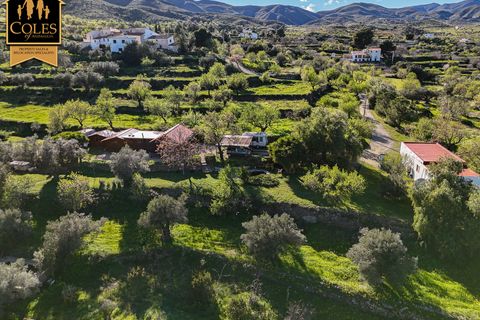 Træhytte i Lubrin, Almeria, Lubrin - € 245.000 | Ref: LUB3V02 - foto 21