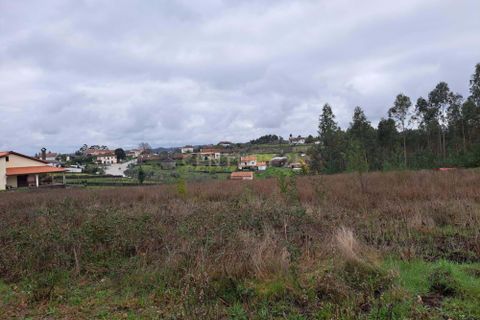 Tomt i Arganil, Coimbra, Arganil - € 69 000 | Ref: C0234-02830 - foto 3