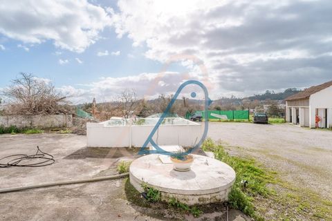 Villa i Ourem, Santarem, Ourem - € 400.000 | Ref: CV11013-22 - foto 45