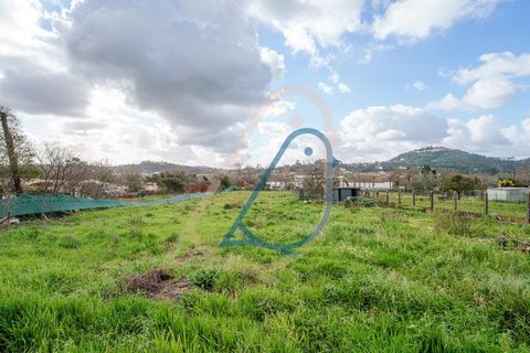 Villa i Ourem, Santarem, Ourem - € 400.000 | Ref: CV11013-22 - foto 48