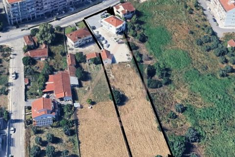 Villa i Ourem, Santarem, Ourem - € 400.000 | Ref: CV11013-22 - foto 2