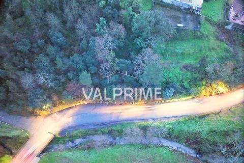 Helårsgrund i Paredes, Porto, Paredes - € 55.000 | Ref: 2026_02 - foto 5