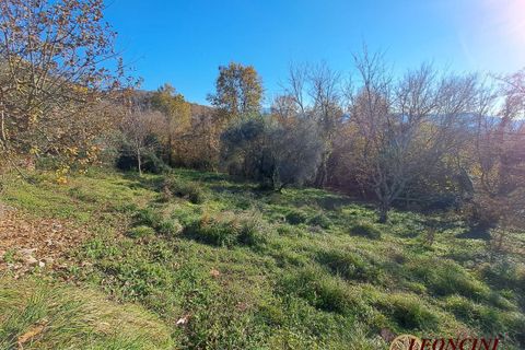 Landejendom i Bagnone, Massa and Carrara, Bagnone - € 250.000 | Ref: A304 - foto 5