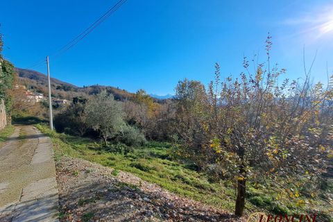 Landejendom i Bagnone, Massa and Carrara, Bagnone - € 250.000 | Ref: A304 - foto 13