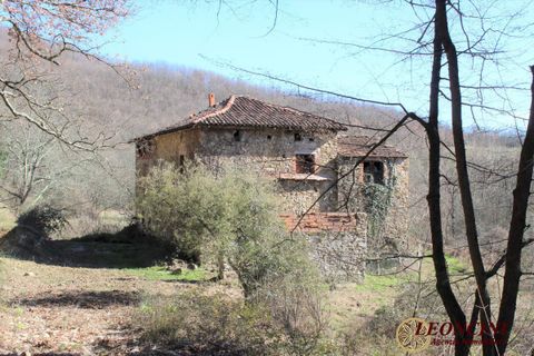 Landejendom i Pontremoli, Massa and Carrara, Pontremoli - € 450.000 | Ref: P123 - foto 3