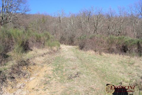 Landejendom i Pontremoli, Massa and Carrara, Pontremoli - € 450.000 | Ref: P123 - foto 4