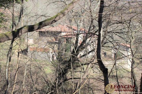 Landejendom i Pontremoli, Massa and Carrara, Pontremoli - € 450.000 | Ref: P123 - foto 5