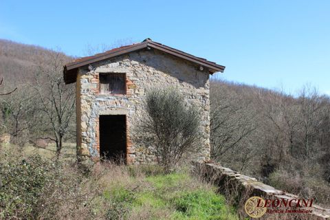 Landejendom i Pontremoli, Massa and Carrara, Pontremoli - € 450.000 | Ref: P123 - foto 7