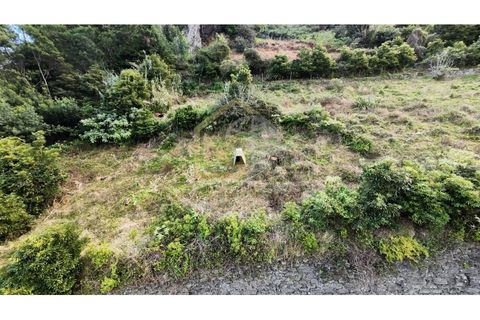 Helårsgrund i Machico, Madeira, Machico - € 75.000 | Ref: SÒL_81 - foto 3