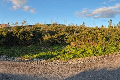 Helårsgrund i Condeixa-a-Nova, Coimbra, Condeixa-a-Nova - € 25.000 | Ref: SF-8310 - foto 5