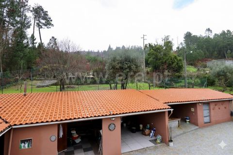 Villa i Mangualde, Viseu, Mangualde - € 343.000 | Ref: 389260024 - foto 7