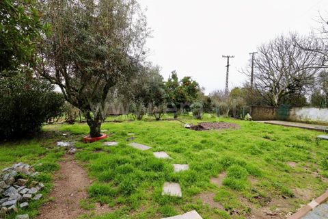 Villa i Mangualde, Viseu, Mangualde - € 343.000 | Ref: 389260024 - foto 11